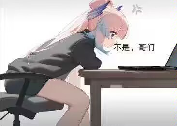 电子文盲